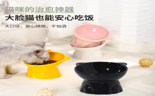 猫橘狗