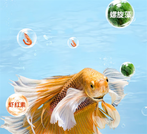 宠以沫金鱼饲料：美味与健康的完美融合