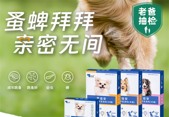 喜倍安和大宠爱有什么区别 喜倍安和大宠爱有什么区别