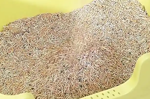 玩尾猫砂盆怎么样 玩尾猫砂盆怎么样