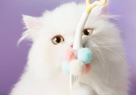 HOUYA宠物猫咪玩具逗猫棒：激发猫咪活力的神器