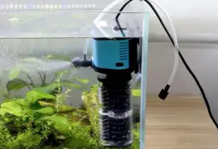 聚宝源鱼缸过滤器有增氧作用吗 聚宝源鱼缸过滤器有增氧作用吗