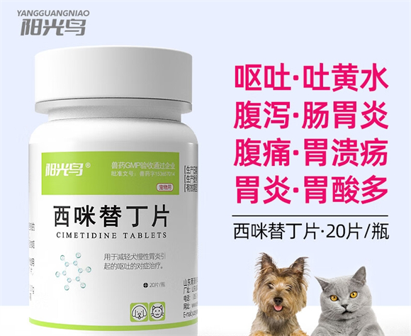 宠物呕吐不止？阳光鸟肠胃守护神器值得试试