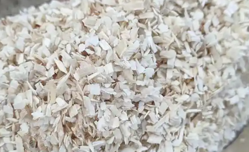 豪蚨宠物木屑多久换一次 豪蚨宠物木屑多久换一次