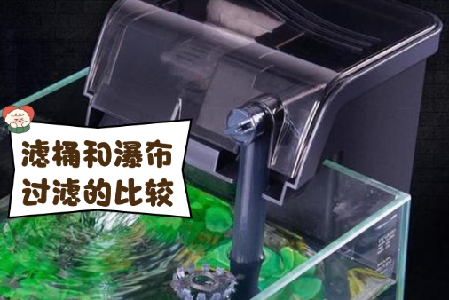 OF OCEAN FREE鱼缸过滤器多久有效果