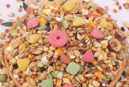 花卷宝宝仓鼠粮兔子可以吃吗 花卷宝宝仓鼠粮兔子可以吃吗
