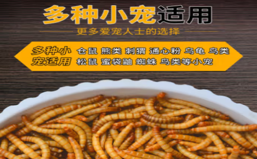 崇雾