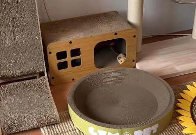自带干粮的猫猫抓板好用吗