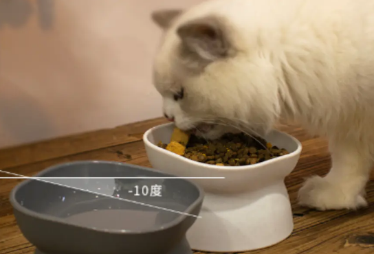 宠物的专属用具——乐优派猫碗狗碗