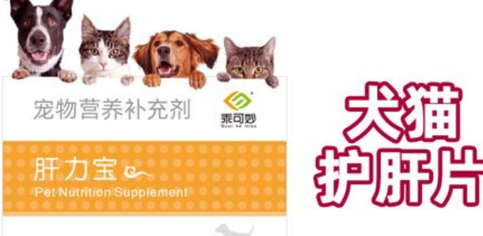 乖可妙肝力宝是正规药吗