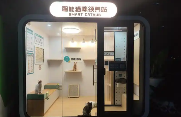 首个AI+猫咪领养站现身！城市流浪动物管理“新招式”