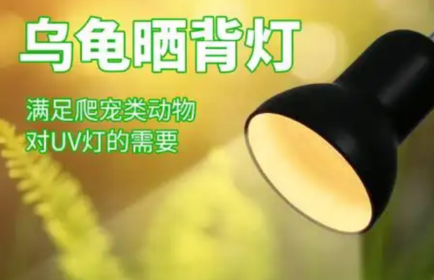 CRAZY PLANT产品优势有哪些？