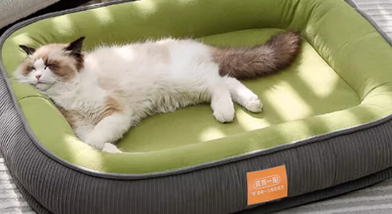自带干粮的猫猫窝多久清洗一次 自带干粮的猫猫窝多久清洗一次