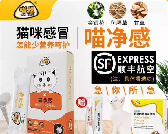喵想赖氨酸多少钱一盒