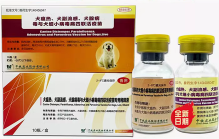 中牧宠物疫苗：国产之光，筑牢宠物健康防线