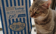 多重技术加持，亨趣喵猫砂打造卓越性能