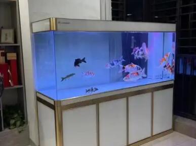 荣花施鱼缸用纳米气盘对鱼有害吗