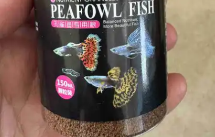 AIPHAROW金龙鱼饲料好还是虾干好 AIPHAROW金龙鱼饲料好还是虾干好
