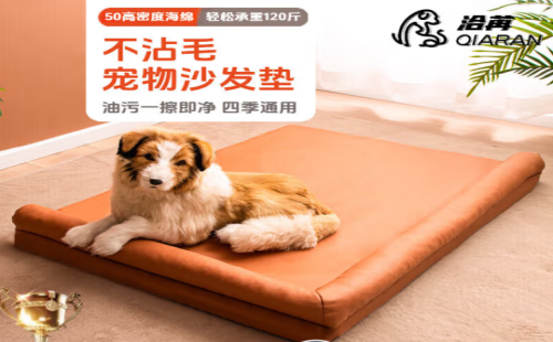 洽苒