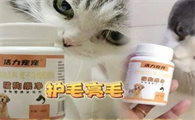 活力宠宠猫狗崇净多久吃一次