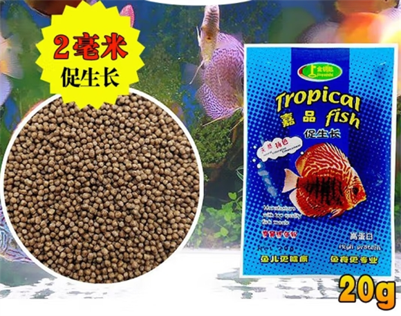 优鱼若宠增艳饲料对鱼好吗