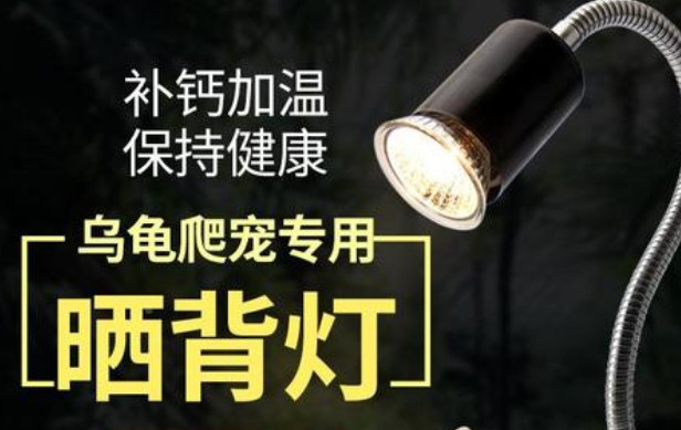 易萌宠物产品系列解析！宠物产品