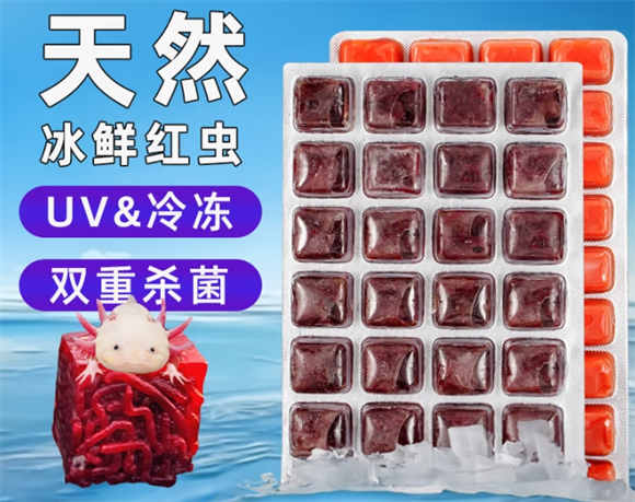西洲曲冰冻红虫放冰箱卫生吗