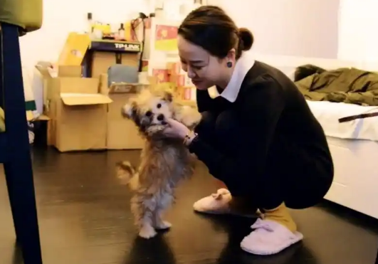 38万克隆爱犬,斥资百万打造永恒陪伴,富人的狗都能“永生”了? 38万克隆爱犬,斥资百万打造永恒陪伴,富人的狗都能“永生”了?