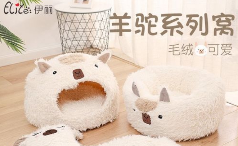 伊丽是什么品牌 伊丽是什么品牌