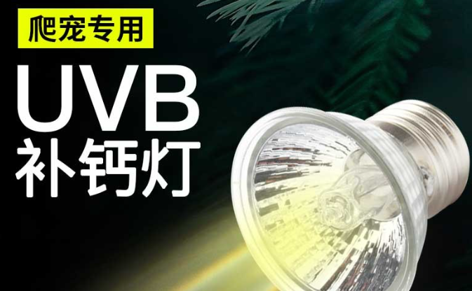 易萌乌龟晒背灯每天开多久