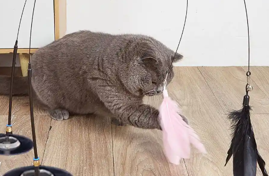 HOUYA宠物猫咪玩具逗猫棒：激发猫咪活力的神器