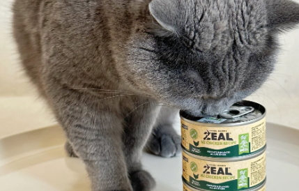 露蒙德猫罐头好不好