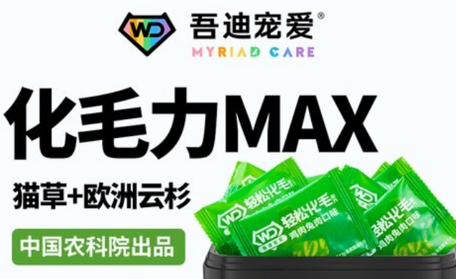 吾迪宠爱有问题吗