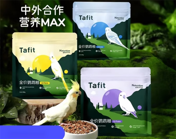它适适合哪些鹦鹉吃