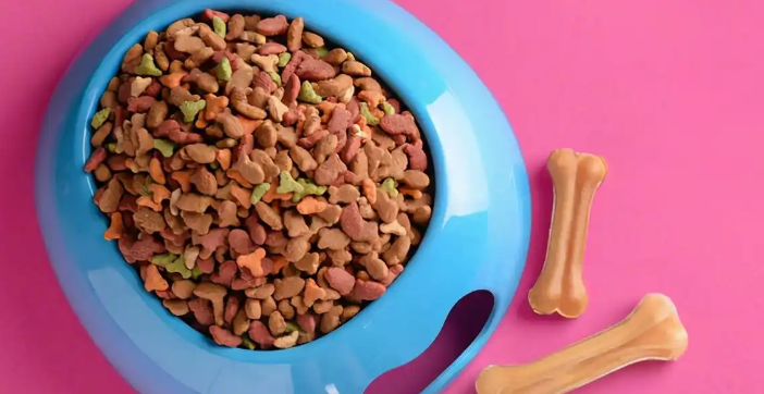 狗子增肥最快的十种食物