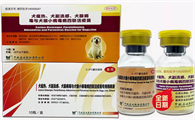 中牧宠物疫苗：国产之光，筑牢宠物健康防线