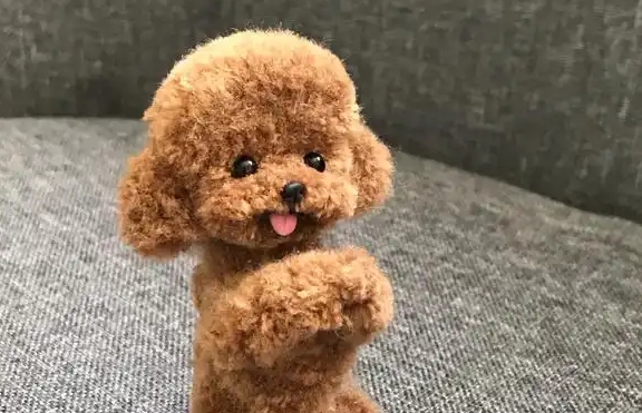 泰迪狗狗几个月的时候训练最好