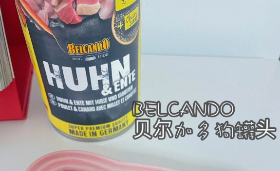 贝肯多狗罐头可以当主食吗