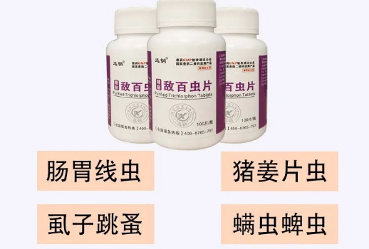 迅销宠物药怎么样 迅销宠物药怎么样
