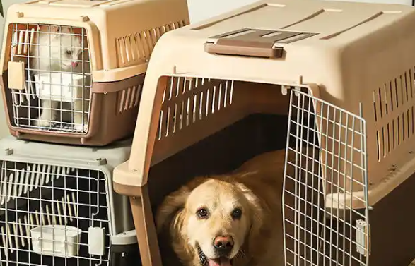 家有一宠宠物航空箱多少钱