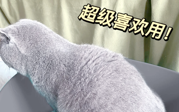 喵彩“智能净味猫砂盆”上线，庭清题<strong></strong>破解多猫家庭清洁难题