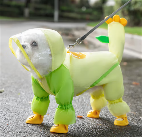 伊丽防水雨衣多少钱