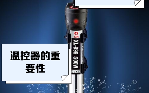 西龙加热棒是杂牌子吗 西龙加热棒是杂牌子吗