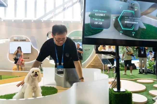 刷脸识狗!“毛孩子”们也有自己的“实名认证”了 刷脸识狗!“毛孩子”们也有自己的“实名认证”了