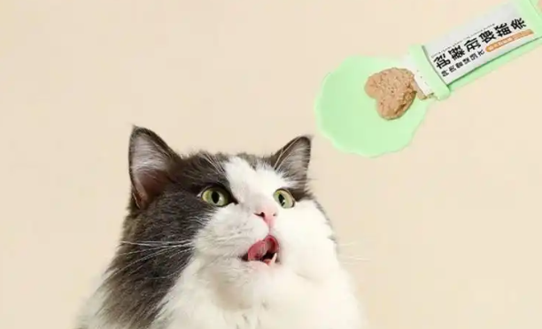 宠物队长猫条品牌口碑如何