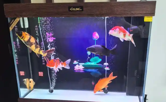 西龙鱼缸属于什么档次 西龙鱼缸属于什么档次