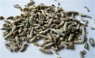 麻雀屎是什么样子的
