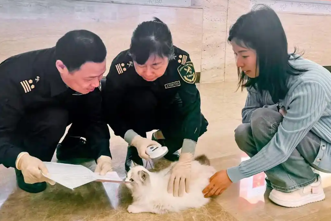 携带宠物出境便利升级，“一键申报”更便捷
