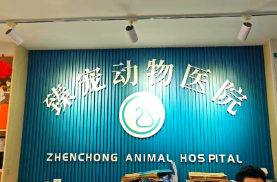 臻宠动物医院：以专业守护宠物健康，健康获广泛赞誉