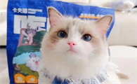 卡夫猫冻干属于什么档次
